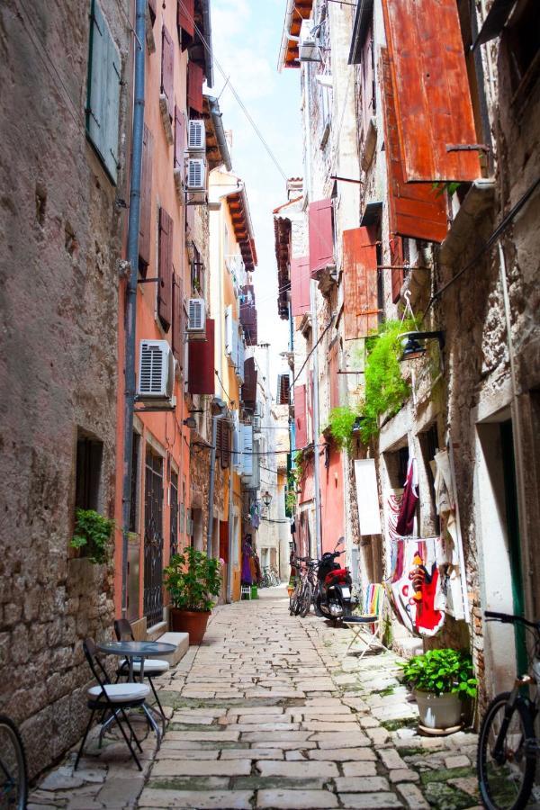 Appartement In With Balcony, Air Conditioning, Wifi, Washing Machine 5116-1 Rovinj